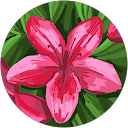 Maria Rosado profile picture